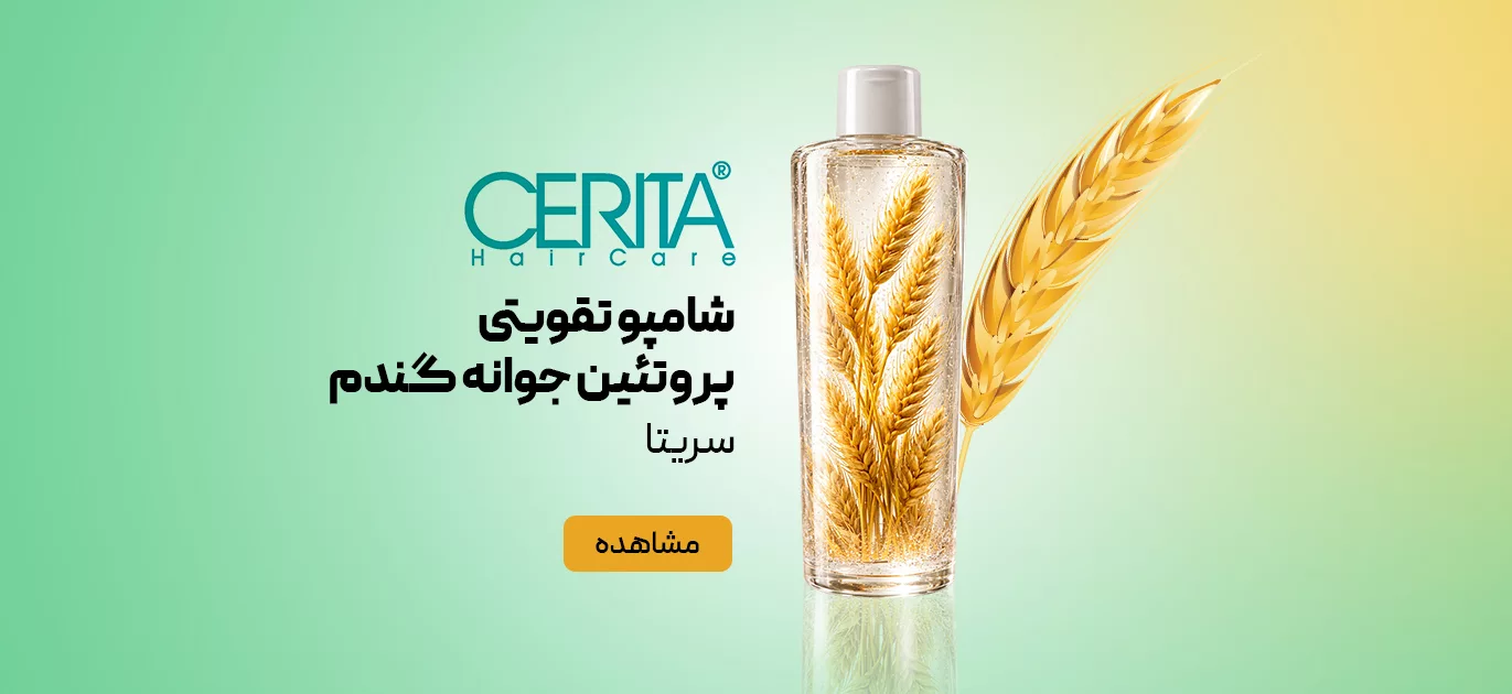 صفحه اصلی