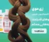 مقاله 2